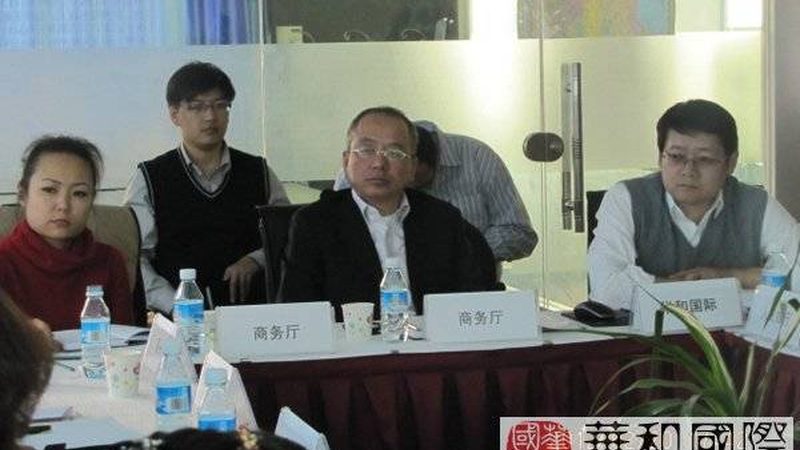 互联网公司扁平化组织架构咨询：如何打造高效协同团队**
